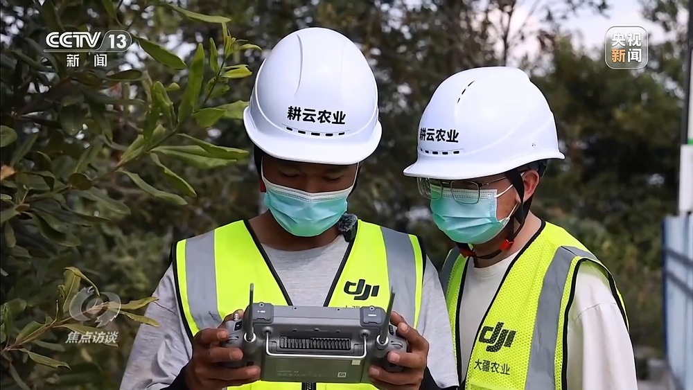 从“卖得出”到“卖得俏” 小坚果变身产业振兴“幸福果”