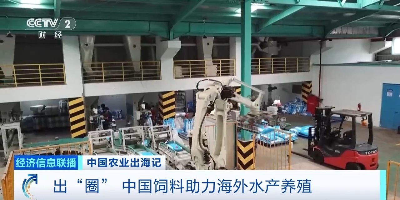 油菜籽扎根巴基斯坦，饲料“游”进越南虾塘！中国农业这样出海→