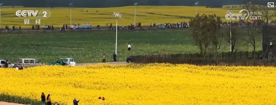 从“开门红”到“持续火”：节后旅游市场热度不减 消费活力全面释放