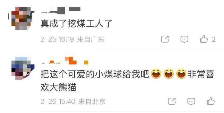 “全网最黑”大熊猫火了！网友：这才是真“熊孩子”