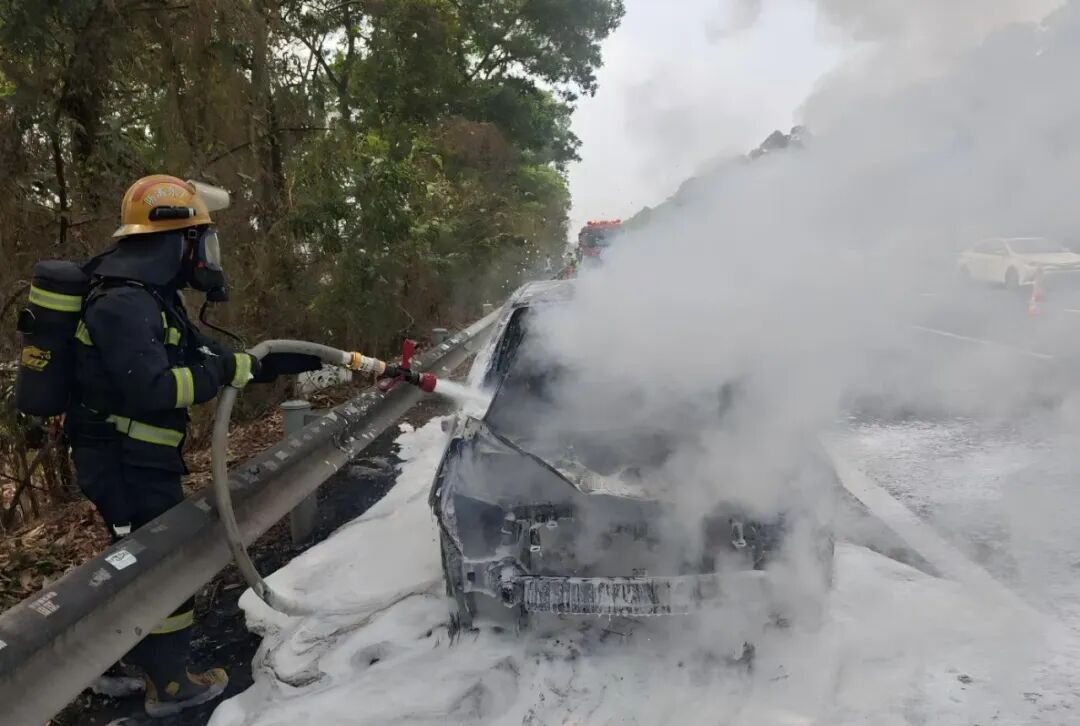 女子拍照举报20多辆车占高速应急车道引热议，多“急”能停？