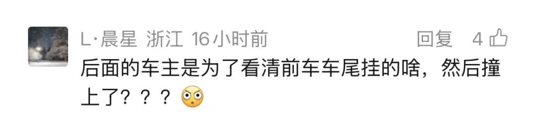 后备箱挂鸡鹅，高速被追尾！全死了…鸡鹅：想过清蒸红烧，没想到是车祸