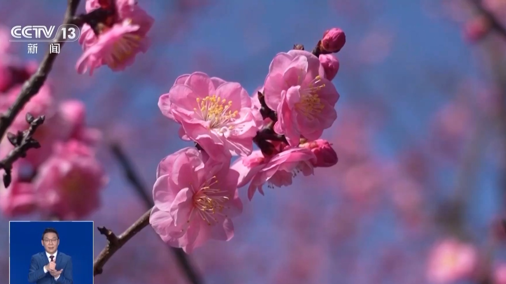 “马年无春不宜结婚”是真的吗？天文专家揭秘