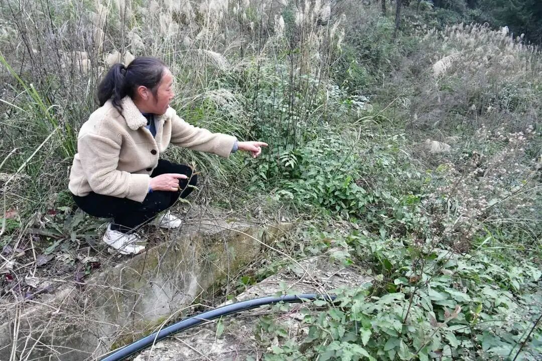 奇迹!四川一老人山中失联8天7夜,被乡邻成功救回 奇迹!四川一老人山中失联8天7夜,被乡邻成功救回