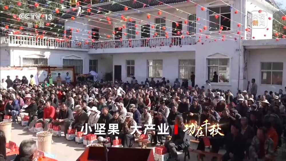 从“卖得出”到“卖得俏” 小坚果变身产业振兴“幸福果”