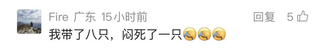 后备箱挂鸡鹅，高速被追尾！全死了…鸡鹅：想过清蒸红烧，没想到是车祸