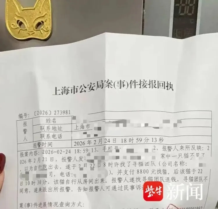 上海女子花8800元雇团队高价寻爱猫,物业却发现猫未走失,寻宠团队:按结果收费不退钱 上海女子花8800元雇团队高价寻爱猫,物业却发现猫未走失,寻宠团队:按结果收费不退钱