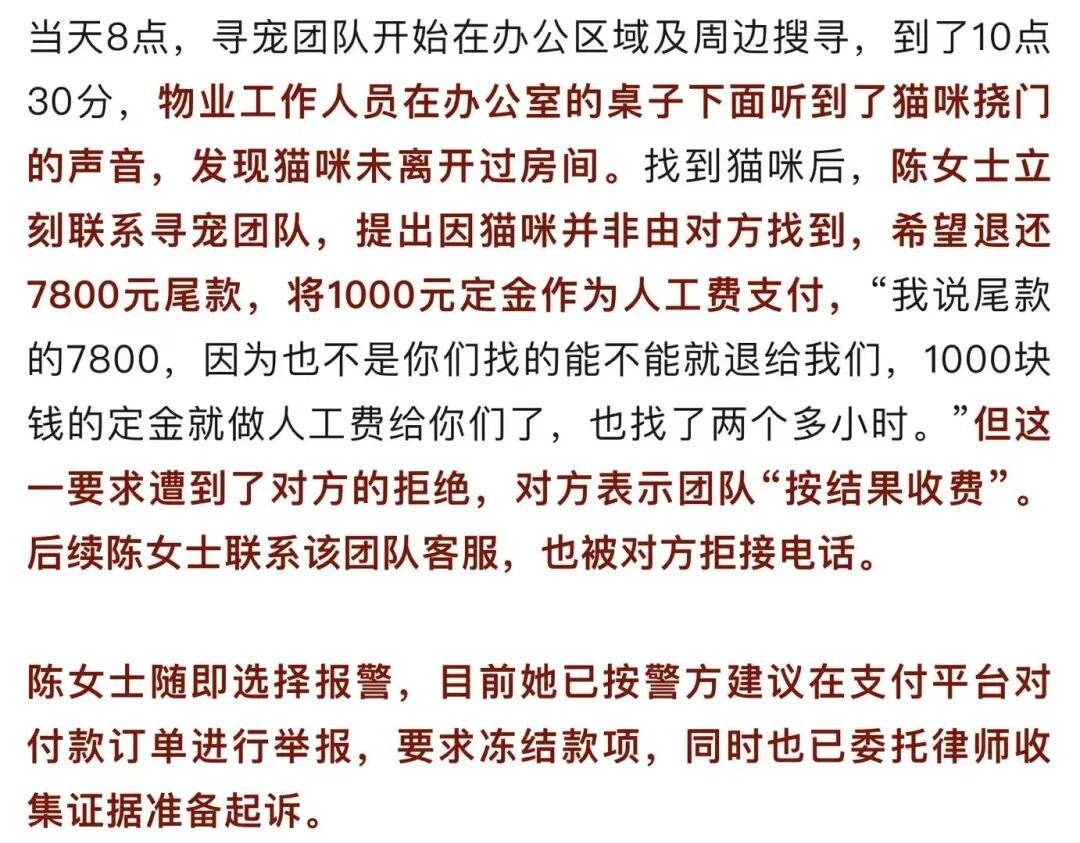 上海女子花8800元雇团队寻猫，结果物业发现就在屋内