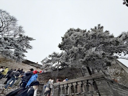 马年北京第一场雪