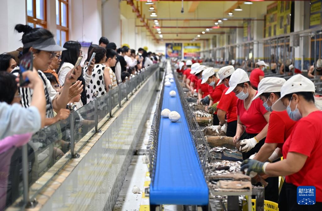 海口：工业游火爆