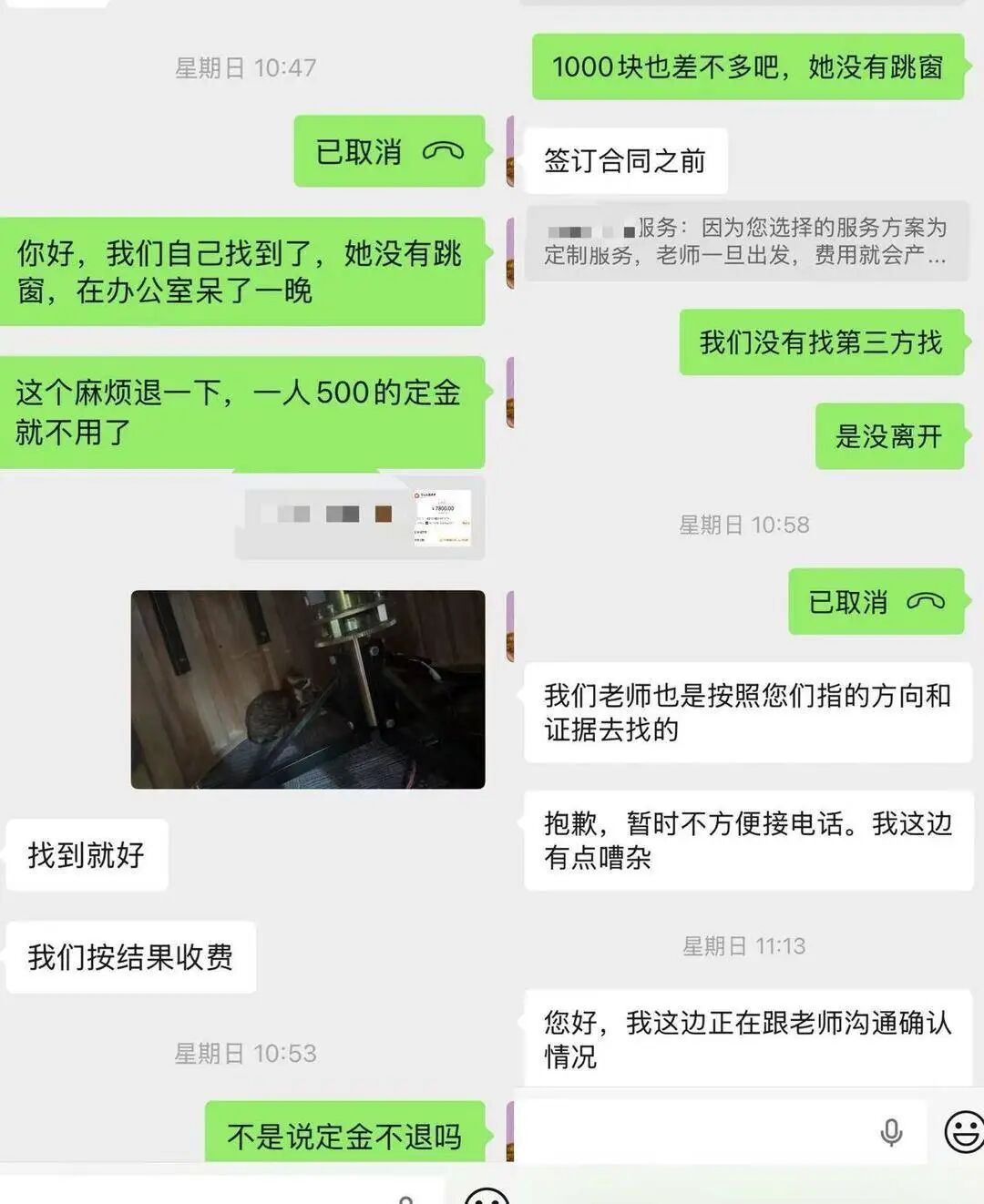 上海女子花8800元雇团队寻猫，结果物业发现就在屋内