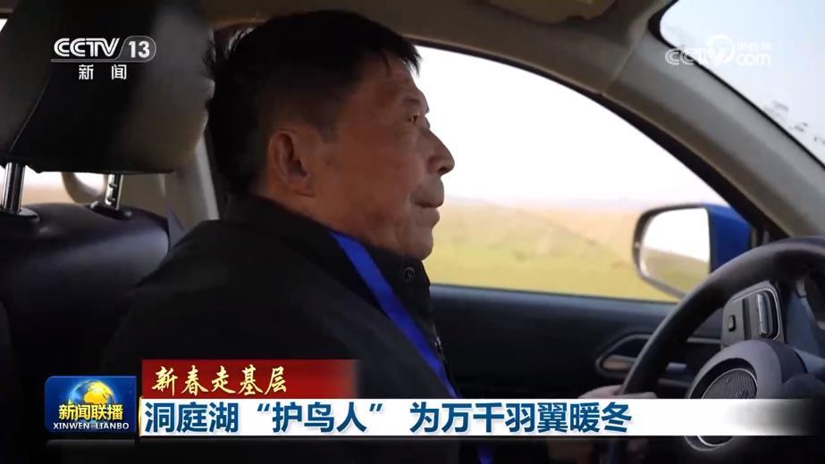 洞庭湖“护鸟人” 为万千羽翼暖冬 洞庭湖“护鸟人” 为万千羽翼暖冬