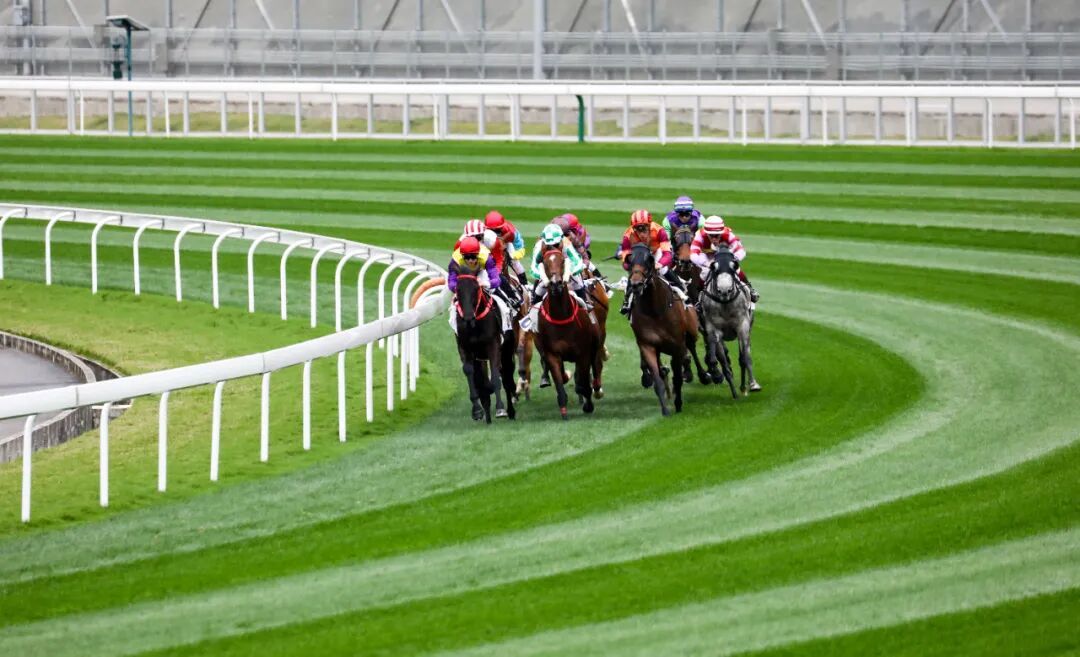 停摆近三十年，广州重启赛马！