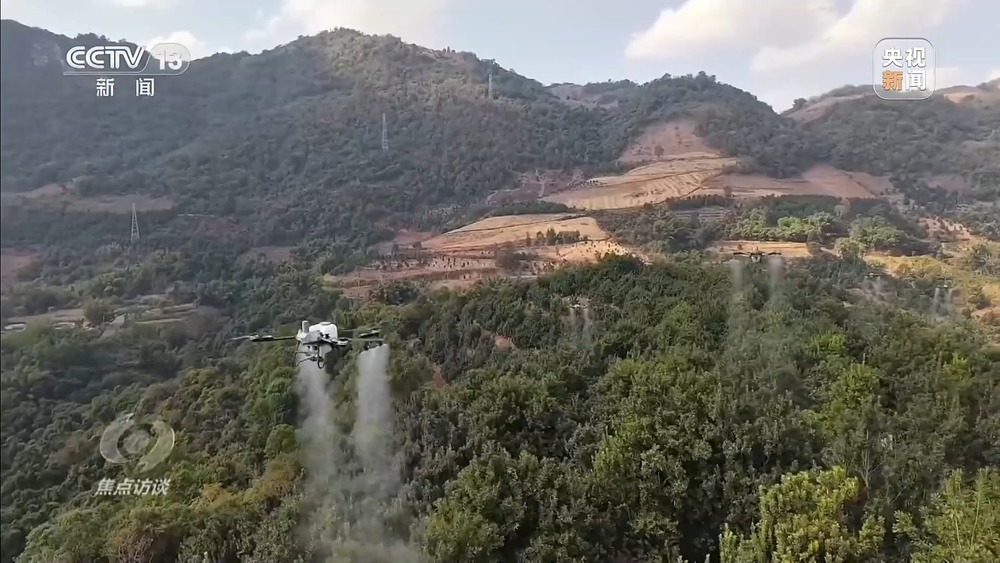 从“卖得出”到“卖得俏” 小坚果变身产业振兴“幸福果”