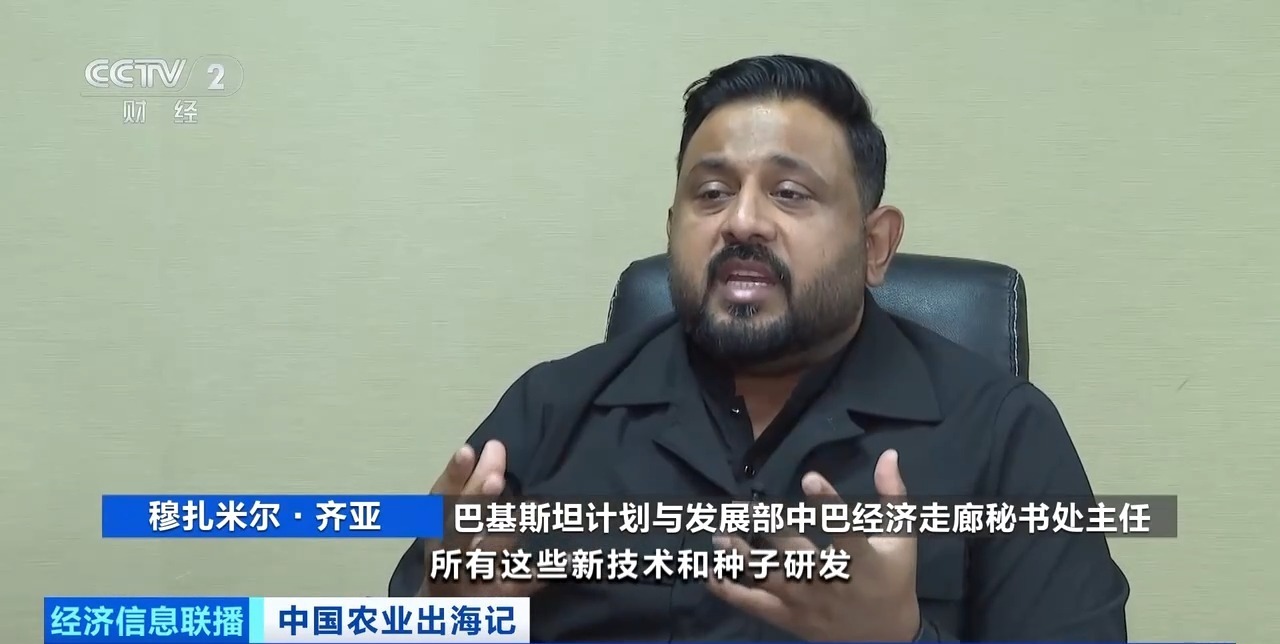 油菜籽扎根巴基斯坦，饲料“游”进越南虾塘！中国农业这样出海→