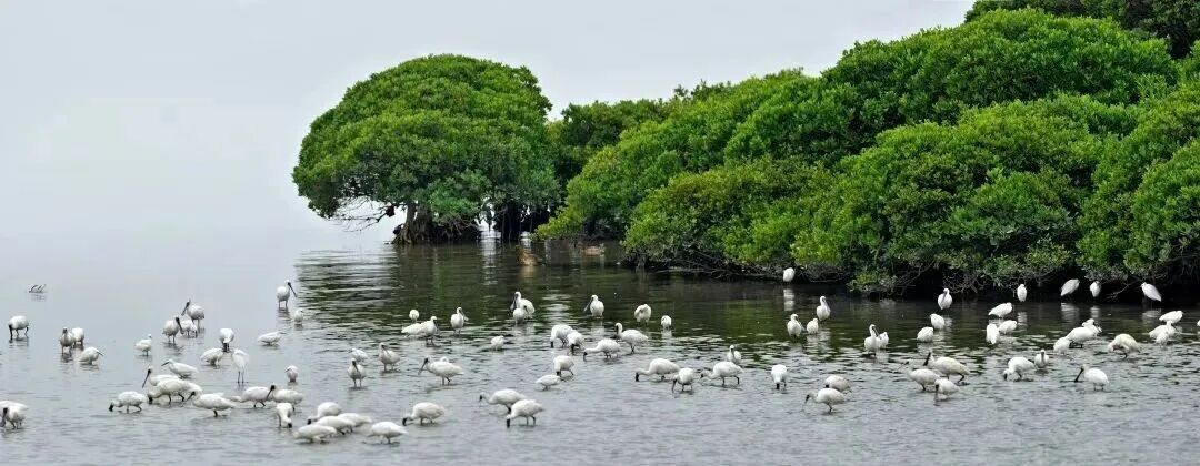 市民建议装灯,公园拒绝,网友却一片赞誉 市民建议装灯,公园拒绝,网友却一片赞誉
