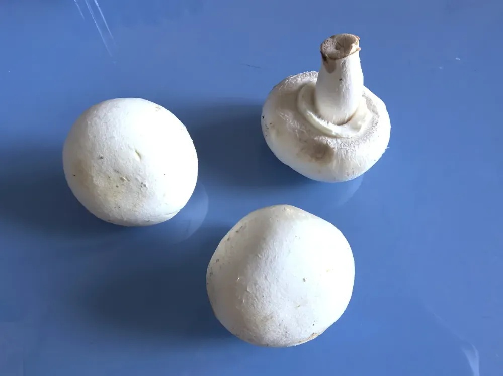 吃两三个就够一天“维D”!这种食物,太宝藏了 吃两三个就够一天“维D”!这种食物,太宝藏了