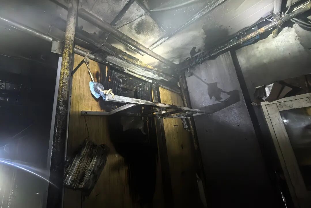 离家仅两天,男子13只总价值近2万元的爱龟全变成“水煮龟”死亡 离家仅两天,男子13只总价值近2万元的爱龟全变成“水煮龟”死亡