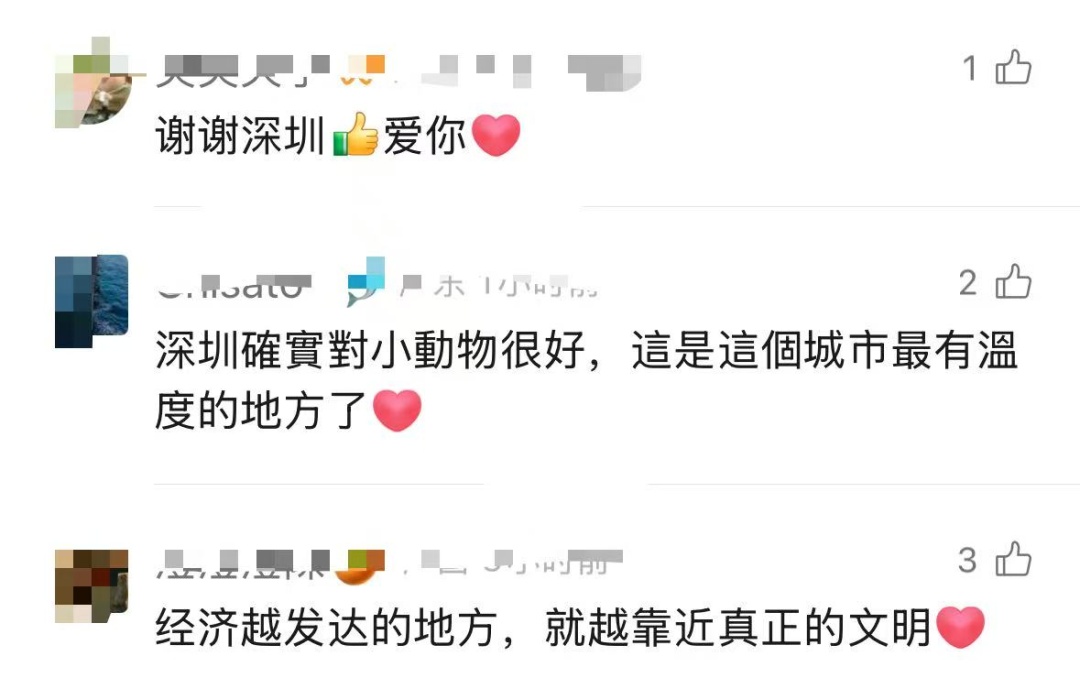 市民建议装灯,公园拒绝,网友却一片赞誉 市民建议装灯,公园拒绝,网友却一片赞誉