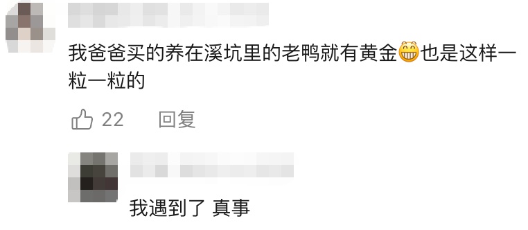 鸭肚中剖出多颗黄金!当事人:这事见怪不怪,正常!评论区失控了… 鸭肚中剖出多颗黄金!当事人:这事见怪不怪,正常!评论区失控了…