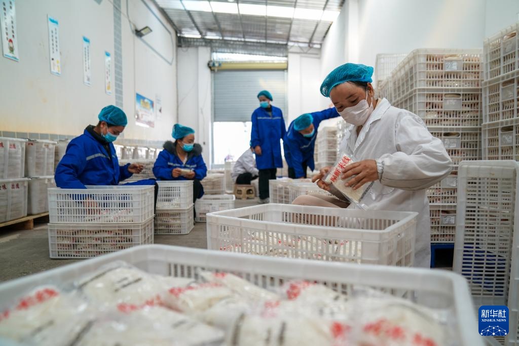 从街头小吃到规模生产：蒙自过桥米线的“出圈密码”