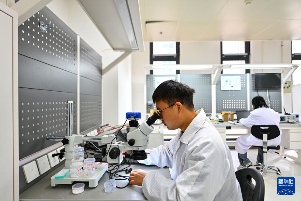 新春走基层丨天津滨海高新区：创新潮涌 “新”意盎然