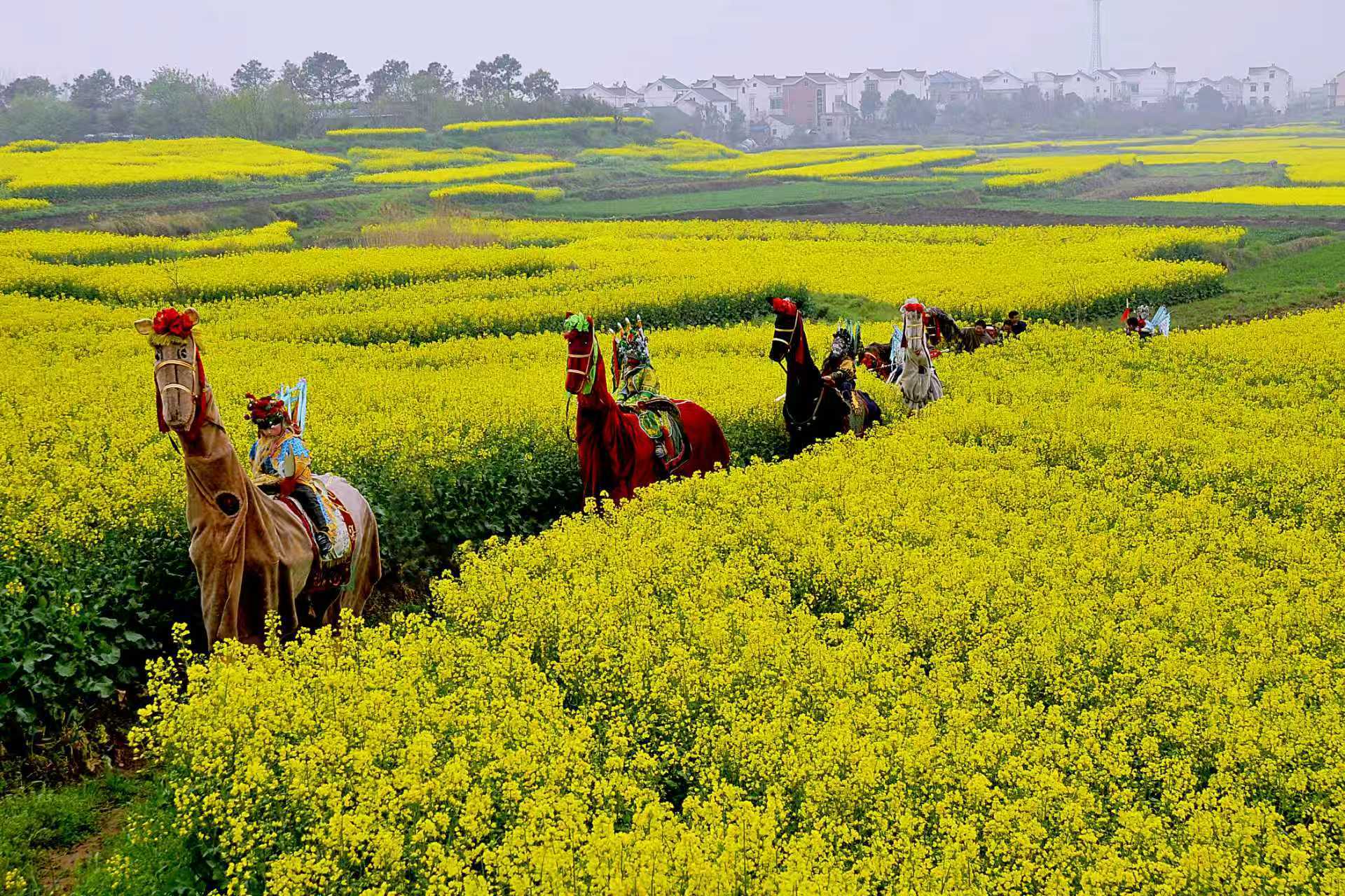 策马太平年,一起来看非遗“东坝大马灯” 策马太平年,一起来看非遗“东坝大马灯”