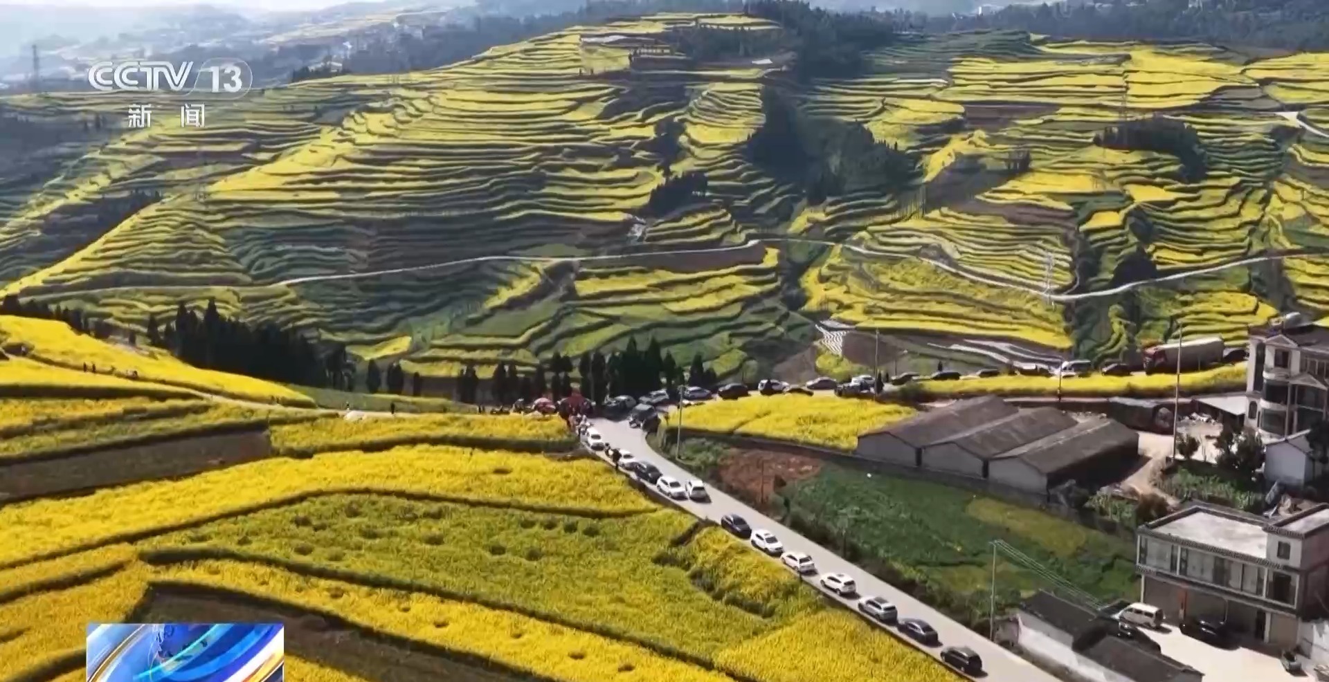 漫山花海 候鸟归来 在山野间赴一场春日之约！