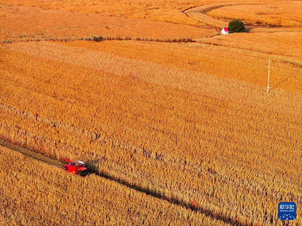 镜观中国丨影像回眸“十四五”——经济增长 稳健前行 镜观中国丨影像回眸“十四五”——经济增长 稳健前行