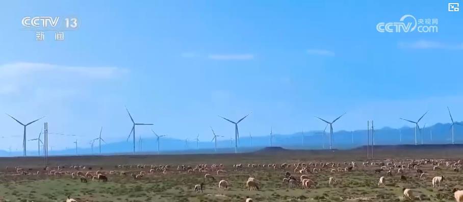 84个项目、3259万千瓦装机：绿电直连跑出“加速度”，助力“双碳”目标实现