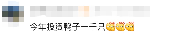 鸭肚中剖出多颗黄金!当事人:这事见怪不怪,正常!评论区失控了… 鸭肚中剖出多颗黄金!当事人:这事见怪不怪,正常!评论区失控了…