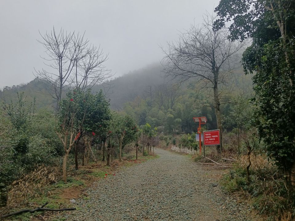 长沙一网红野爬山地发现响尾蛇？专家辨认系有毒的短尾蝮