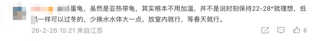 男子节后返家发现13只宠物龟全被“煮”了！价值近2万元……