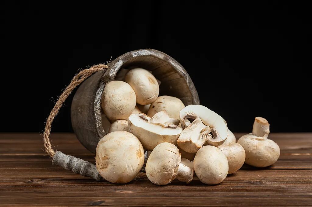 口蘑吃两三个就够一天“维D”！