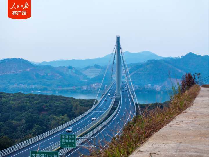 中国大桥再添世界之最!广西苍容浔江大桥正式通车 中国大桥再添世界之最!广西苍容浔江大桥正式通车