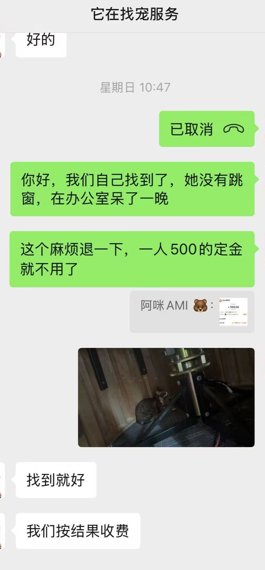 寻猫公司收8800元没找到猫，物业发现猫就在房内，钱该不该退？双方发声，律师解读