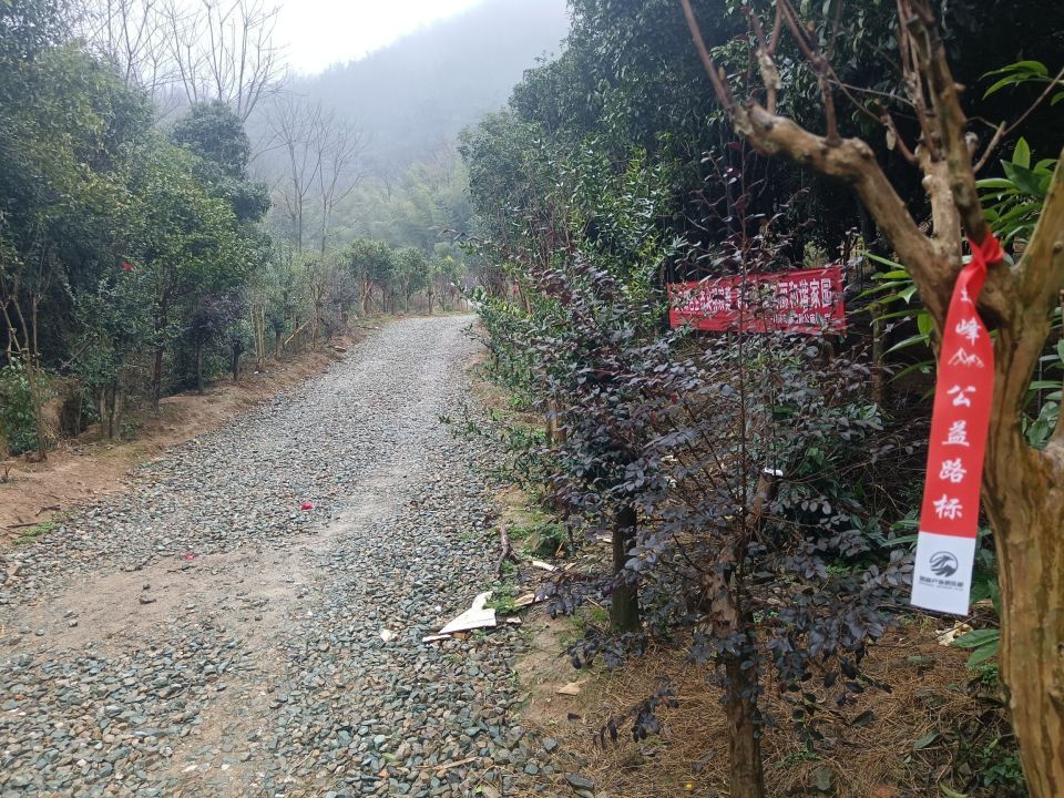 长沙一网红野爬山地发现响尾蛇？专家辨认系有毒的短尾蝮