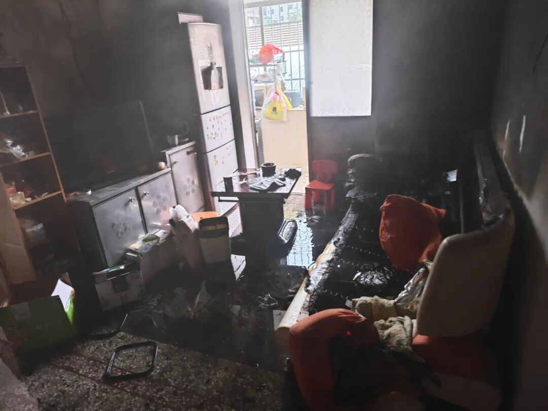 离家仅两天,男子13只总价值近2万元的爱龟全变成“水煮龟”死亡 离家仅两天,男子13只总价值近2万元的爱龟全变成“水煮龟”死亡