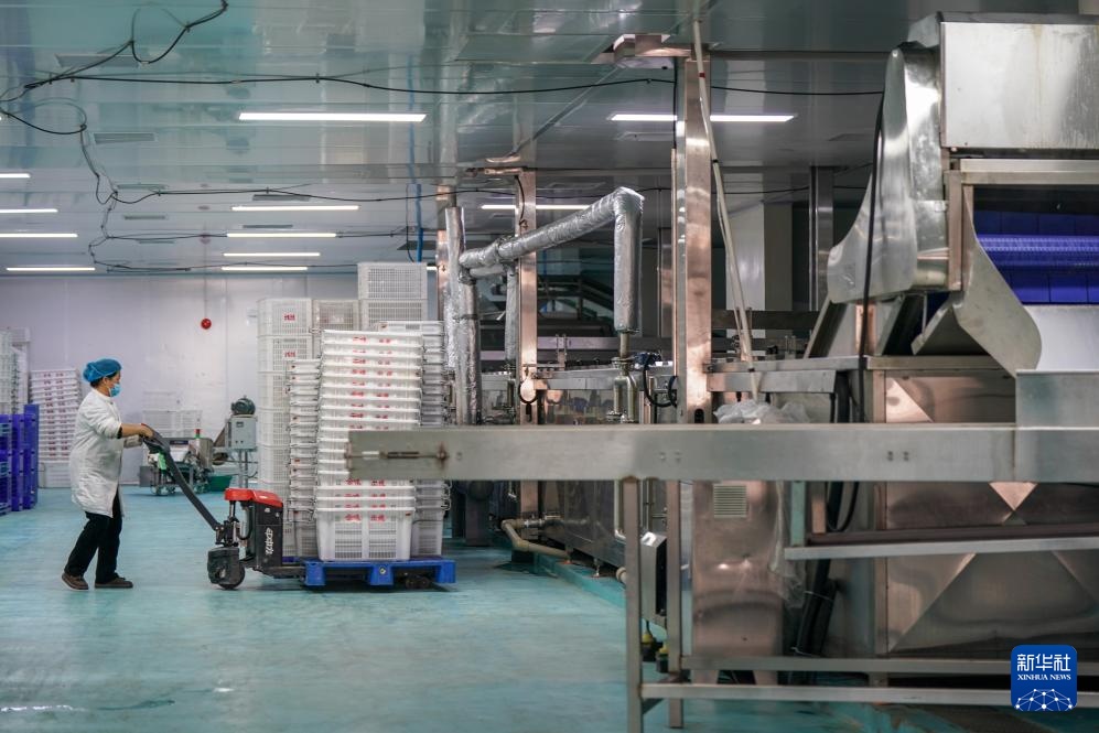 从街头小吃到规模生产：蒙自过桥米线的“出圈密码”