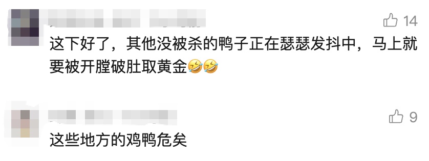 鸭肚中剖出多颗黄金!当事人:这事见怪不怪,正常!评论区失控了… 鸭肚中剖出多颗黄金!当事人:这事见怪不怪,正常!评论区失控了…