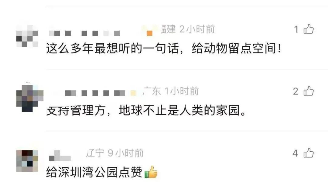 市民建议装灯，公园一口拒绝！却被全网称赞…