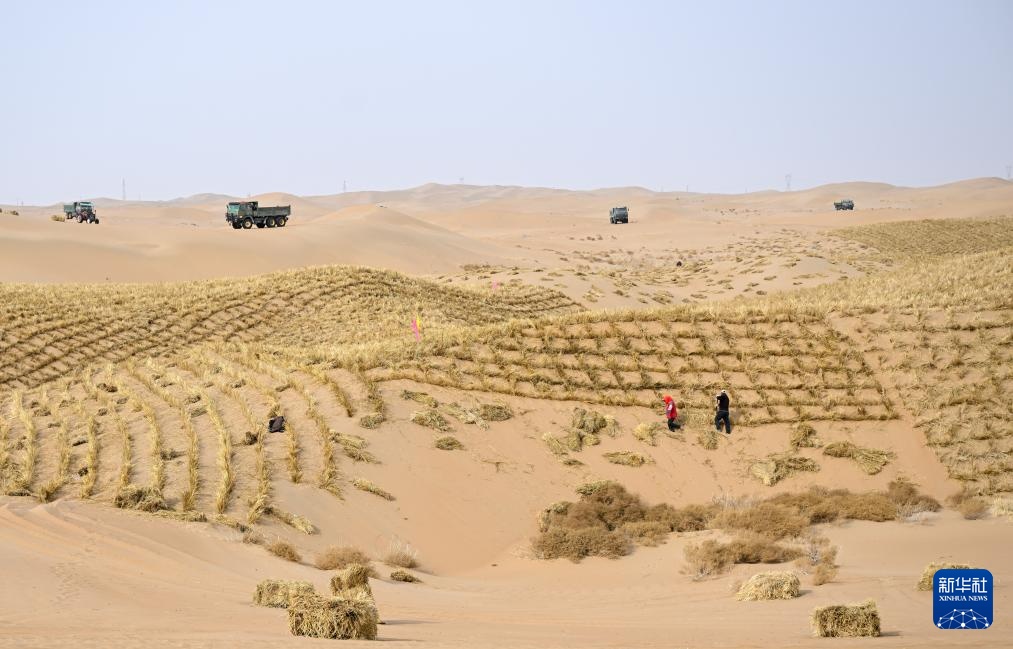 内蒙古阿拉善盟:2026年防沙治沙工程开工 内蒙古阿拉善盟:2026年防沙治沙工程开工