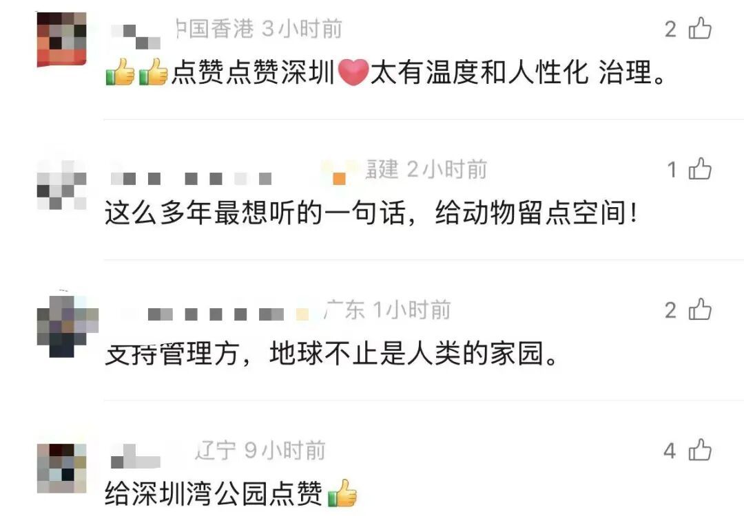 市民建议装灯,公园拒绝,网友却一片赞誉 市民建议装灯,公园拒绝,网友却一片赞誉