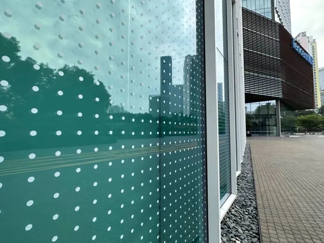 市民建议装灯,公园拒绝,网友却一片赞誉 市民建议装灯,公园拒绝,网友却一片赞誉