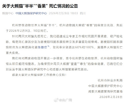 官方通报两只大熊猫相继死亡