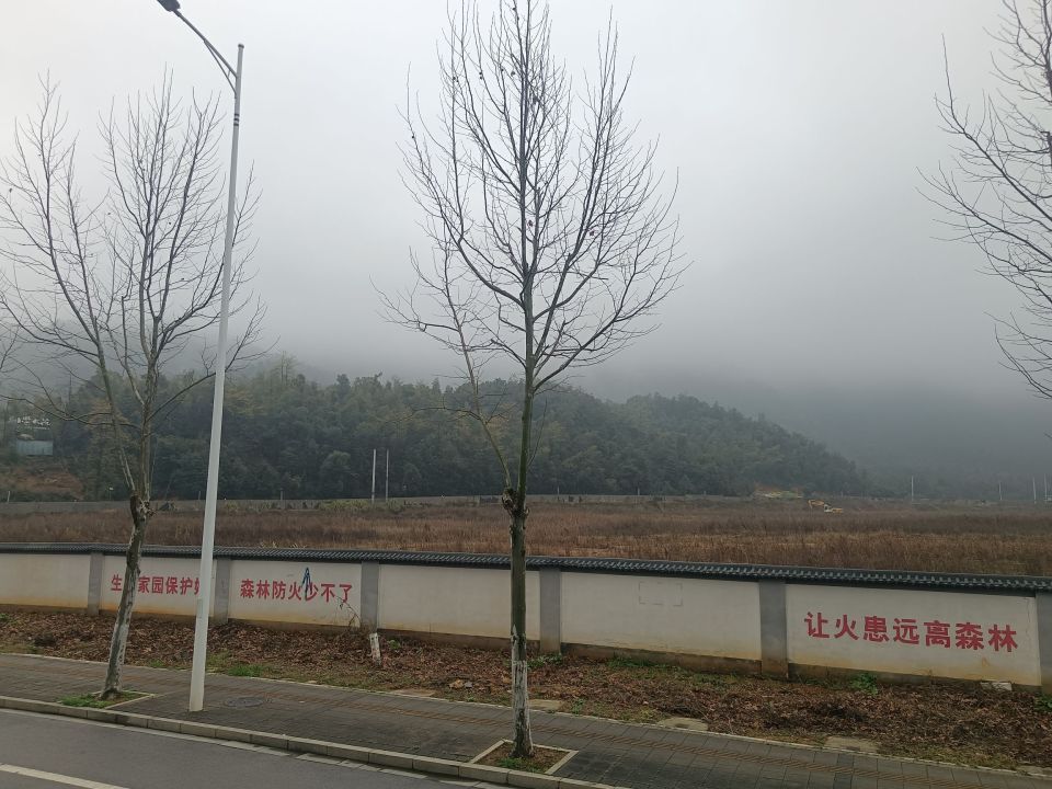 长沙一网红野爬山地发现响尾蛇？专家辨认系有毒的短尾蝮