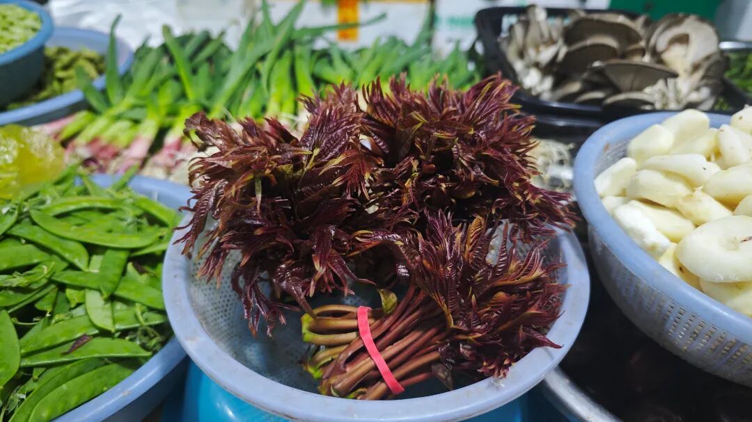 一天一个价！头茬上市，不少杭州人忍不住尝鲜！老板：可以再等等…