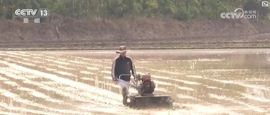 人勤春来早:各地春耕生产全面展开 多措并举夯实丰收基础 人勤春来早:各地春耕生产全面展开 多措并举夯实丰收基础