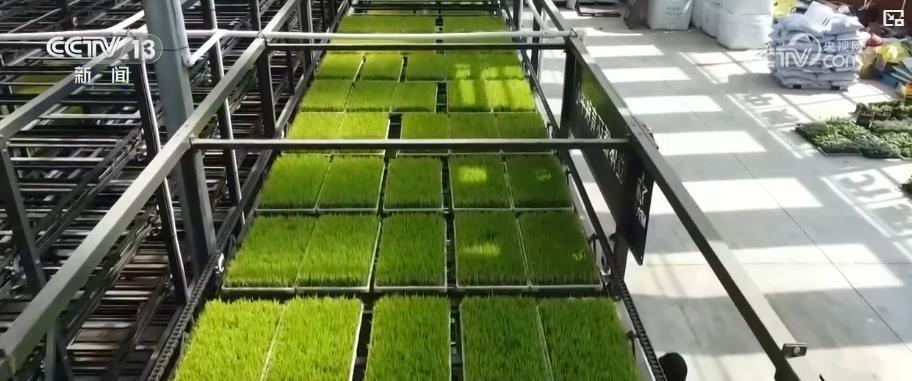 农业科技进步贡献率超64%！2025年中国农业交出“硬核”成绩单