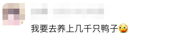 鸭肚中剖出多颗黄金!当事人:这事见怪不怪,正常!评论区失控了… 鸭肚中剖出多颗黄金!当事人:这事见怪不怪,正常!评论区失控了…